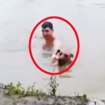 Perro salvavidas se viste de héroe: Se lanza al agua a salvar a su amo que simula que se ahoga