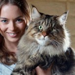 Gatos gigantes: Vea las deslumbrantes fotos de estas inmensas mascotas