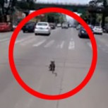 Perrito “rápido y furioso” huye a toda velocidad entre los autos mientras intentan salvarlo: Un final inesperado