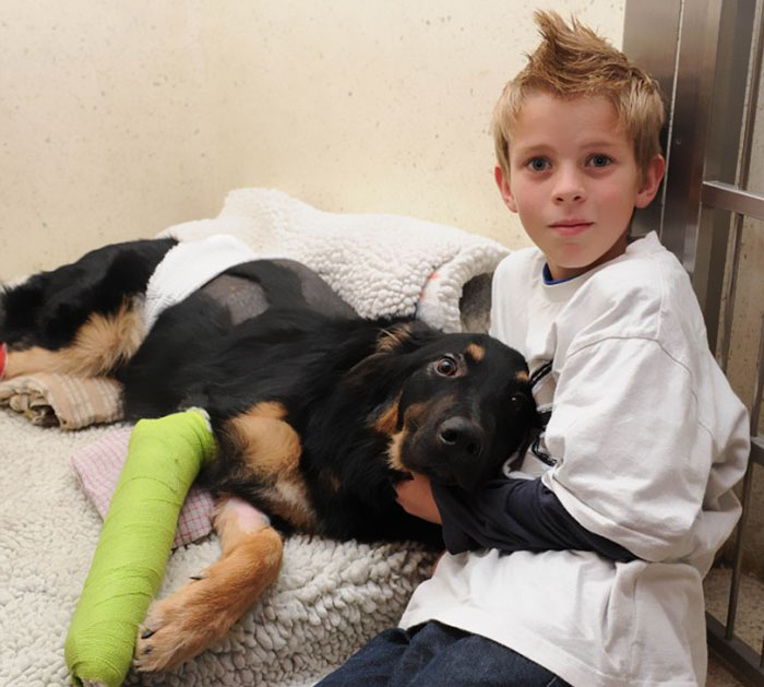 Un cachorro de 8 meses de edad Geo salvó a Charlie Riley de ser golpeado por un camión al empujar al niño fuera del camino y ser golpeado y atropellado en su lugar