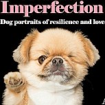 “Imperfecciones perfectas: Retratos de perros sobre resiliencia y amor”: Libro muestra la belleza de mascotas que sufren problemas físicos