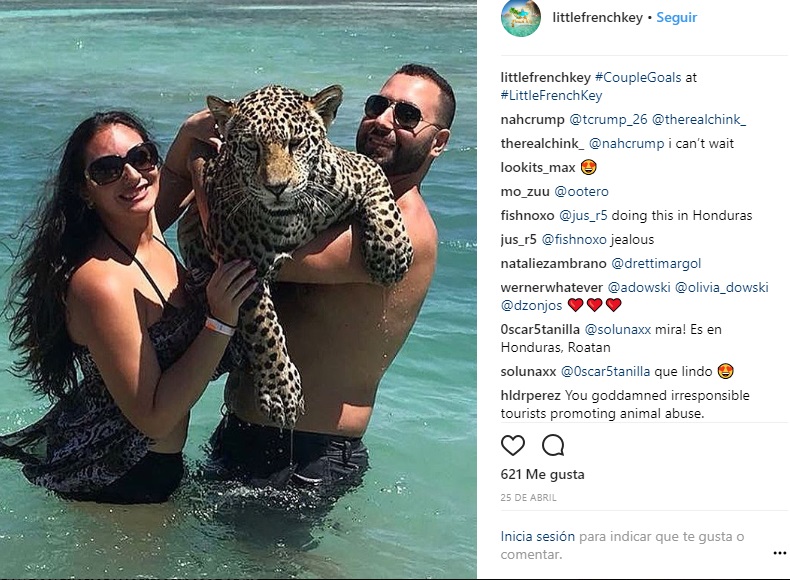 Nadar con jaguares