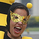 Abejas que bailan lambada y su insólito uso para Internet