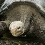 Turismo ecológico, gran idea, destinos imperdibles