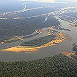 Conozca los cambios que podrían poner en peligro la Amazonia