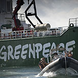 Cinco de las campañas más impactantes de Greenpeace
