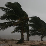 Cinco graves consecuencias del cambio climático