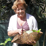 Los abuelitos verdes: hábitos ecológicos para retomar