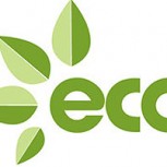 Ecomarketing: La nueva tendencia en emprendimiento
