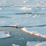¿Cómo evitar el deshielo en Antártida? Medidas y propuestas para un problema global