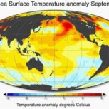 Récord histórico de calentamiento del Oceáno Pacífico