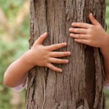 ¿Abrazar árboles es bueno para nuestra salud? Una sorpresa escondida en los bosques