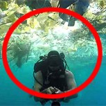Video muestra dramática contaminación del mar: Especies sobreviven acosadas por la basura