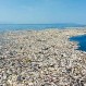 “Gran mancha de basura del Pacífico”: Científicos descubren animales marinos viviendo entre los desechos