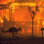 Calentamiento global: Las fotos más impactantes que encendieron las alarmas