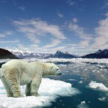 Calentamiento global: Expertos aseguran que el hielo en el ártico se está derritiendo con mayor velocidad
