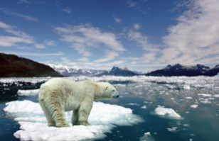 Calentamiento global: Expertos aseguran que el hielo en el ártico se está derritiendo con mayor velocidad