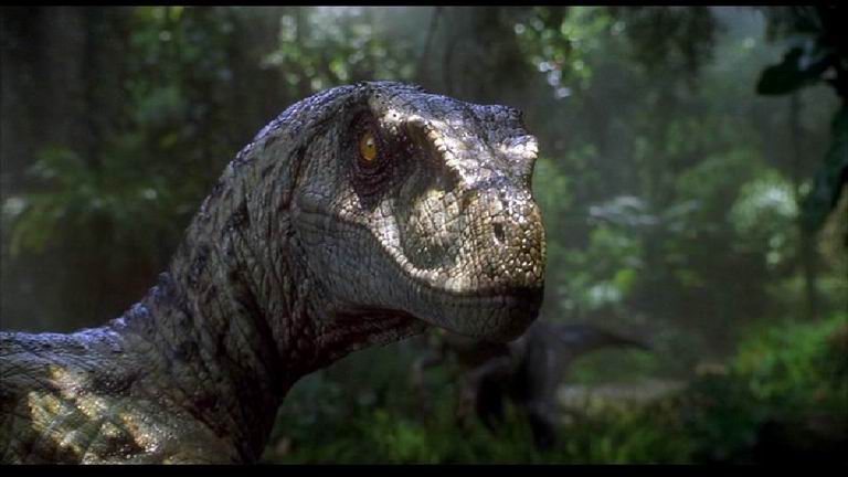 Cómo era realmente el velociraptor, el dinosaurio más famoso e inteligente  de “Jurassic park”? - Guioteca