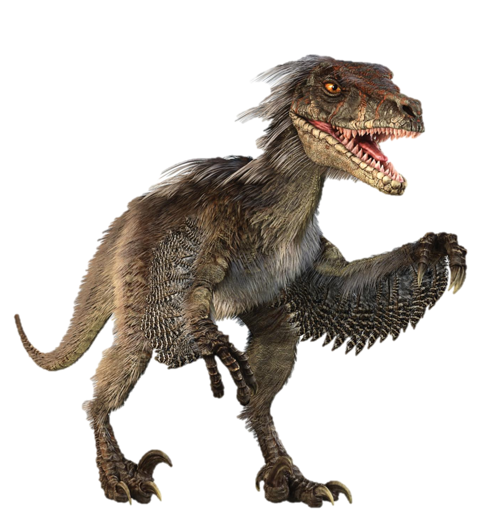 [Imagen: Velociraptor_infobox.png]