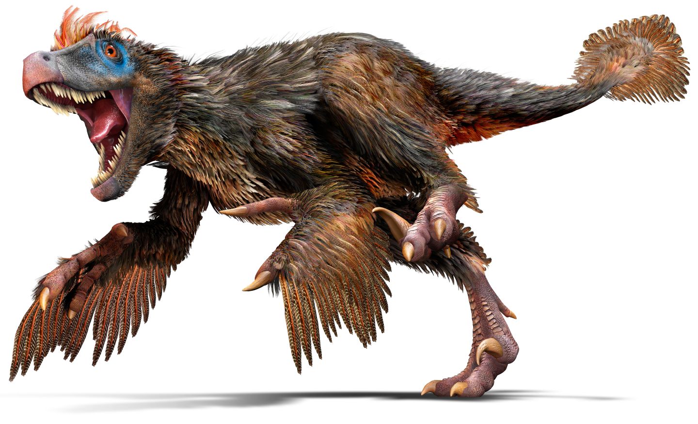 Resultado de imagen para Velociraptor