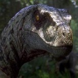 ¿Cómo era realmente el velociraptor, el dinosaurio más famoso e inteligente de “Jurassic park”?