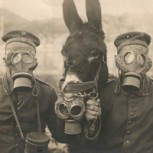 70 tesoros de la fotografía sobre grandes momentos históricos que nunca habíamos visto (I)