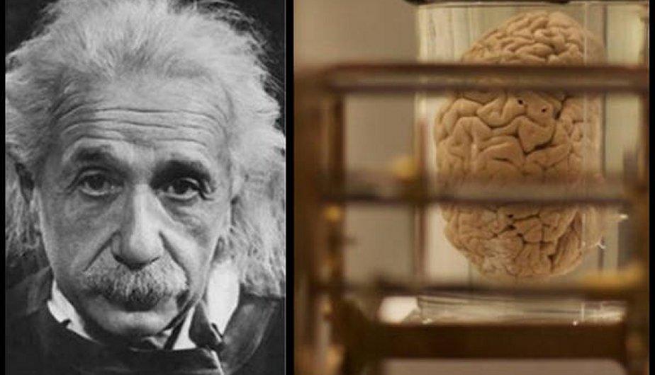 La increíble historia del robo del cerebro de Albert Einstein y las razones de por qué era único A-einstein__2