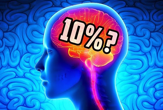 Es verdad que usamos sólo el 10% de nuestro cerebro? Un mito clásico -  Guioteca