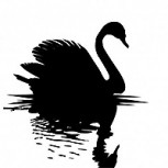 La Teoría del Cisne Negro: La aparición del Coronavirus y otros sucesos inesperados de impacto mundial