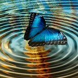 ¿Qué es el Efecto Mariposa y cuál es su relación con la Teoría del Caos?
