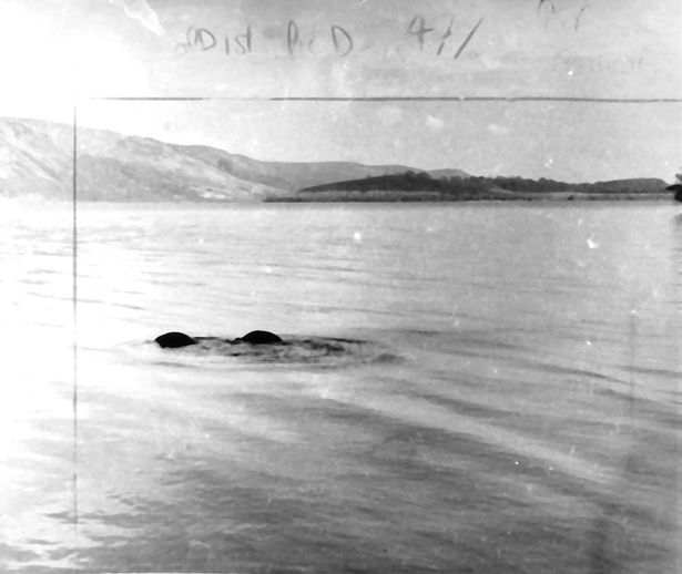 Loch-Ness-Monster-March-1973-sighting