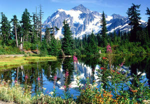 8100768_web1_M-Mount-Shuksan-edh-170820