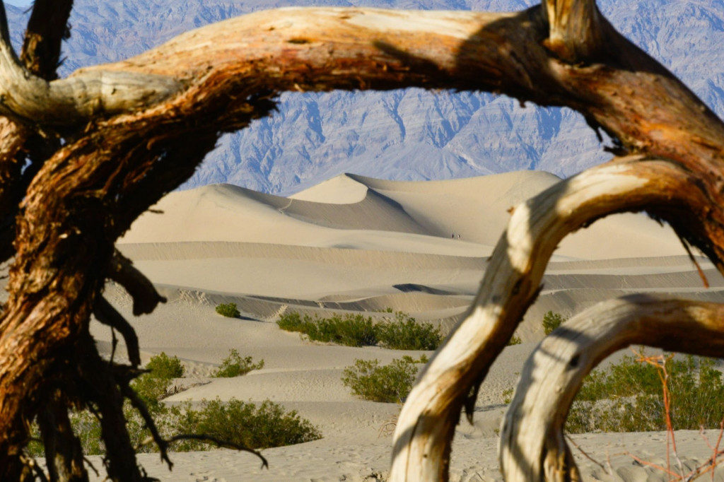 nationalgeographic_2207560