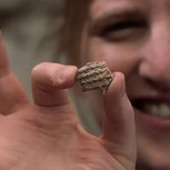 Inscripción de 2.700 años de antigüedad confirmaría relatos bíblicos de Reyes y Crónicas