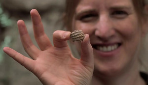 la-arqueologa-ayala-silberstein-muestra-el-fragmento-de-sello-asirtio-encontrado-en-israel_1d3bbe6b_251023105446_1280x720