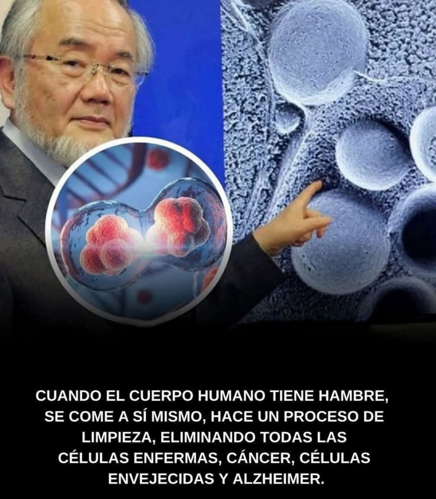 541096754_1307157348120636_3057680504235216894_n