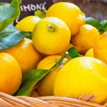¿Cuál es el origen de la Mafia siciliana? Su curioso vínculo con los limones
