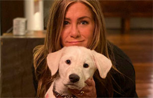 Jennifer Aniston da lecci&oacute;n para brillar en rojo: 6 looks en que este color marc&oacute; su estilo ic&oacute;nico