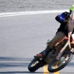 ¿Qué hacer si un perro u otro animal se cruza delante de tu moto?
