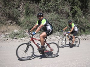 Dinosaurios 2011