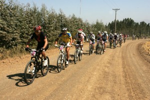Dinosaurios 2011