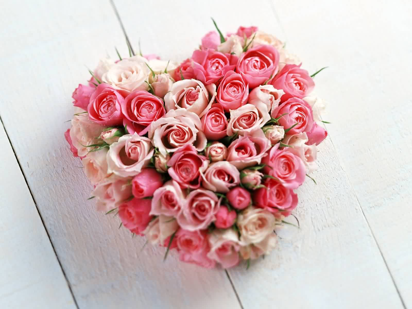 flores-de-san-valentin-6473742
