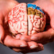 Hobbies y manualidades que permitirán activar tu cerebro ayudando a prevenir enfermedades neurológicas