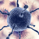 El hallazgo de una chilena podría cambiar el tratamiento del cáncer