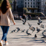 Las aves huyen más rápido de las mujeres: Insólita conclusión de estudio