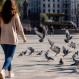Las aves huyen más rápido de las mujeres: Insólita conclusión de estudio