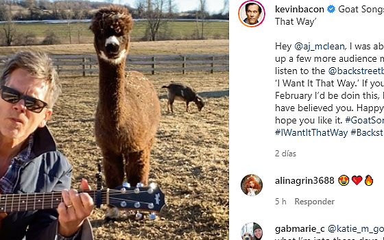 Bacon Instagram