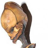 Documental mostrará un “alien chileno” como prueba de la existencia de extraterrestres