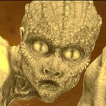 Misterio: Reportan haber visto a un extraño “lagarto humanoide” en desierto de Estados Unidos