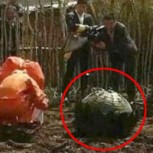 Terror en China: Tres ovnis cayeron en una granja
